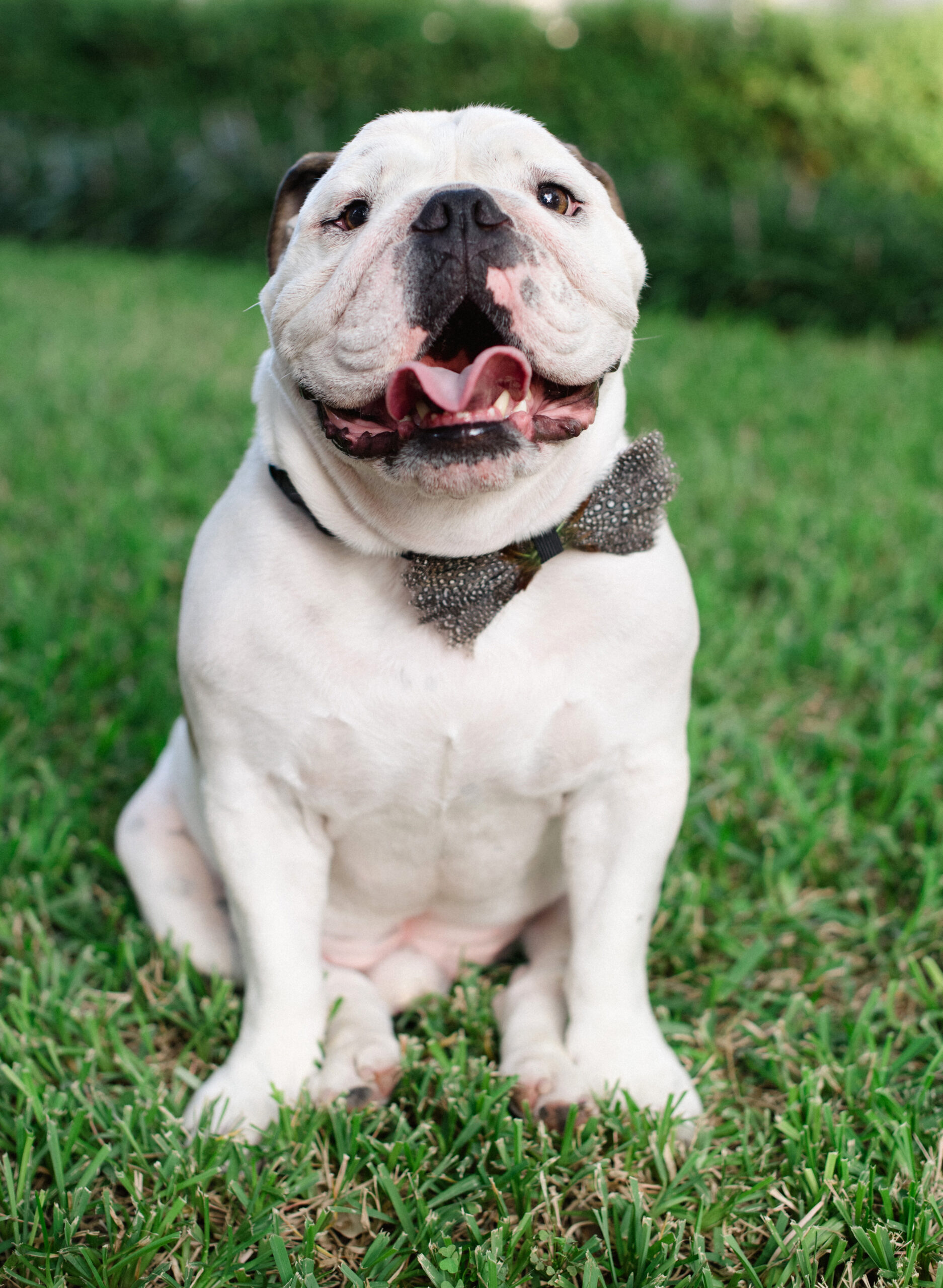 Sara Donaldson Photograph | Kostohryz Nezworski Wedding