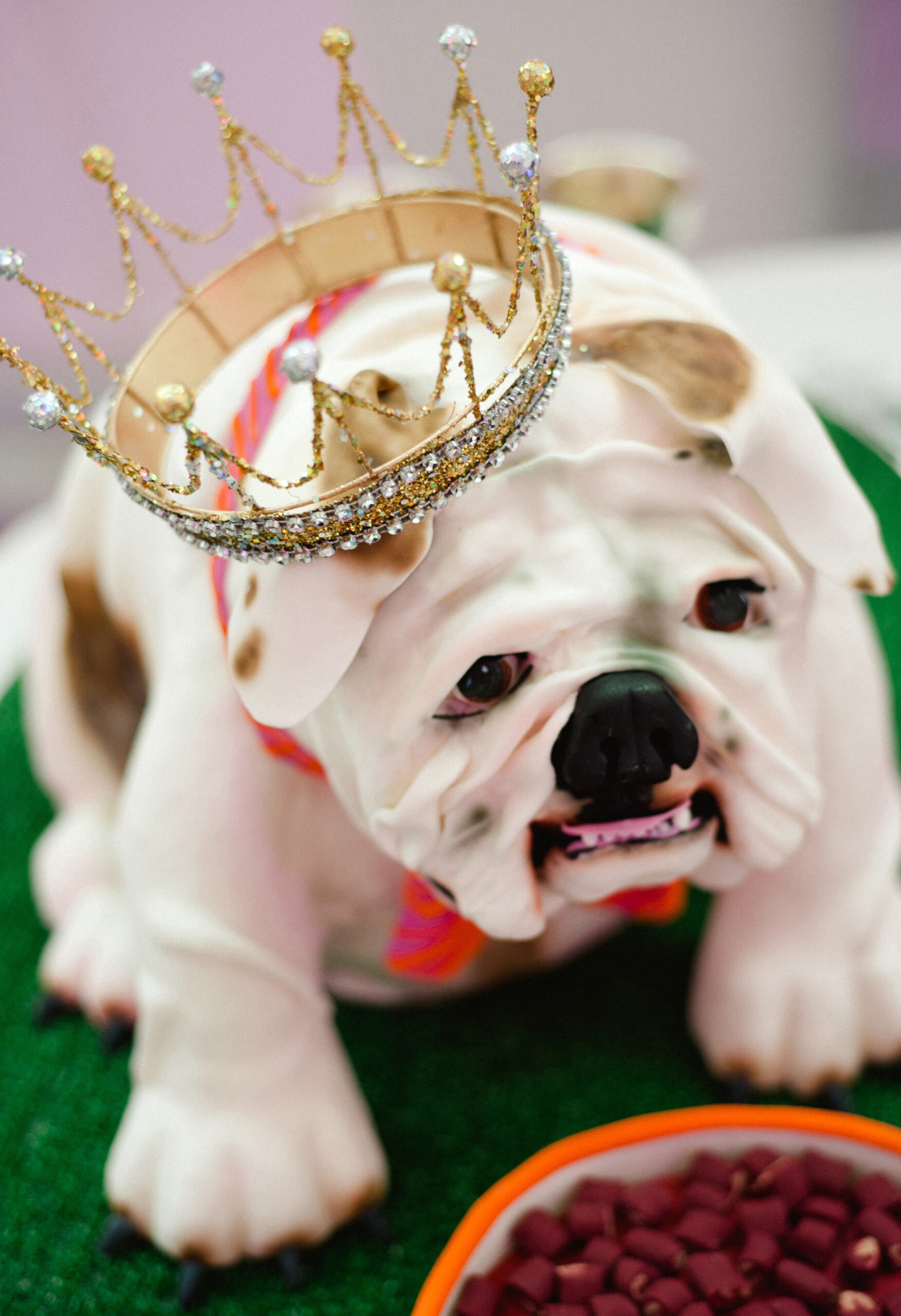 Sara Donaldson Photograph | Kostohryz Nezworski Wedding